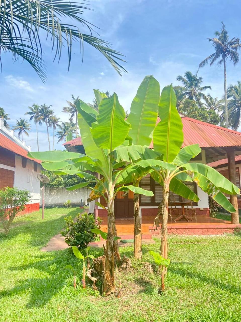 Hill View Ayurvedic Beach Resort Varkala Exterior photo